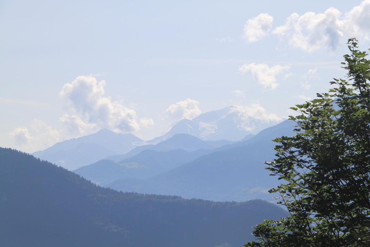 Terrasses Du Morel - A17 - Appart 5 Pers Doucy Esterno foto