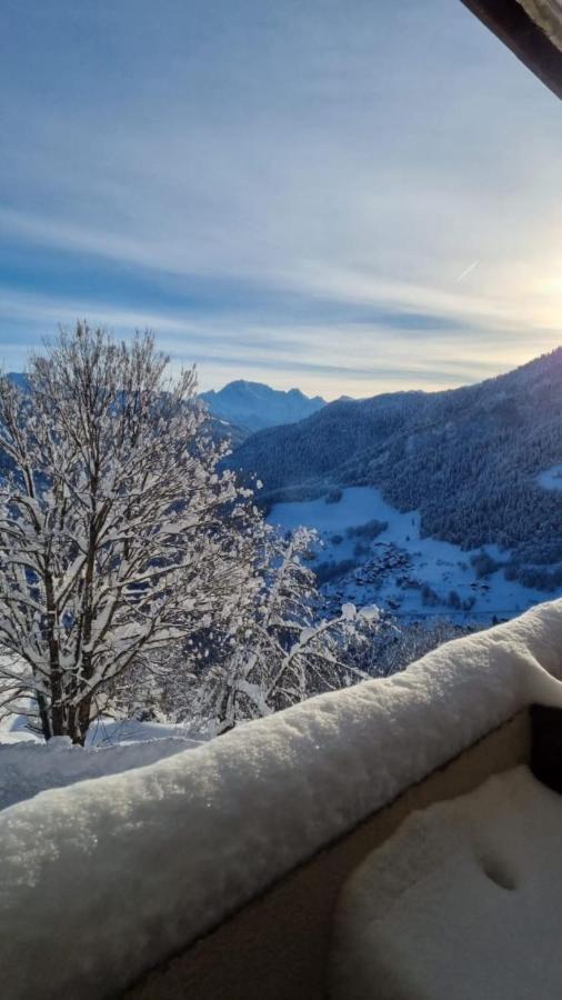 Terrasses Du Morel - A17 - Appart 5 Pers Doucy Esterno foto